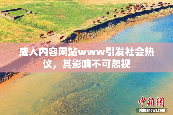 成人内容网站www引发社会热议，其影响不可忽视