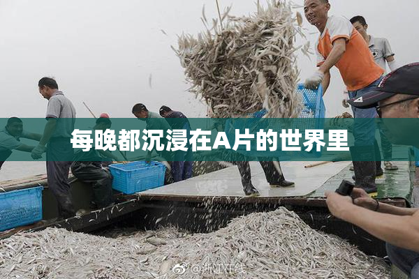 每晚都沉浸在A片的世界里