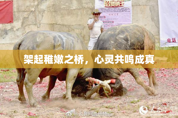 架起稚嫩之桥，心灵共鸣成真