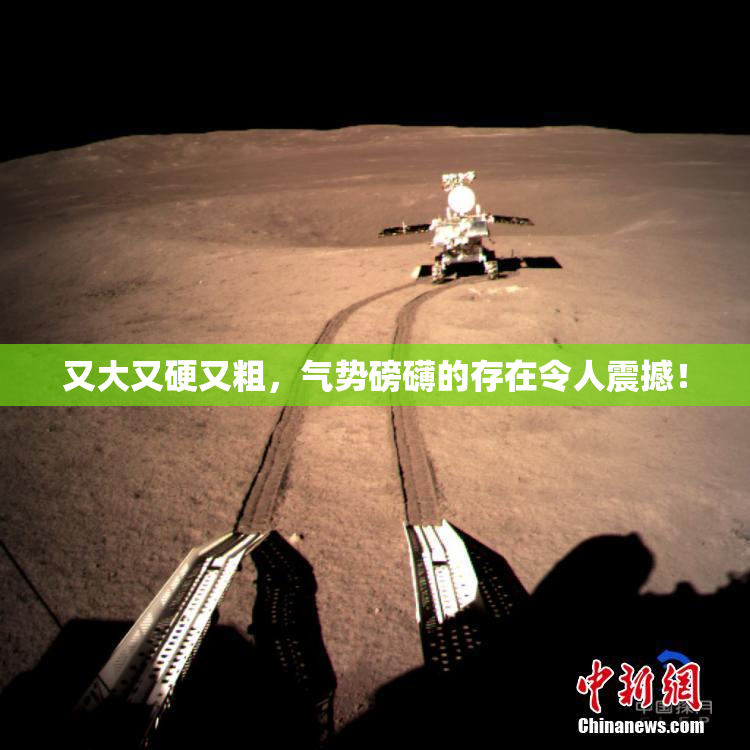 又大又硬又粗，气势磅礴的存在令人震撼！