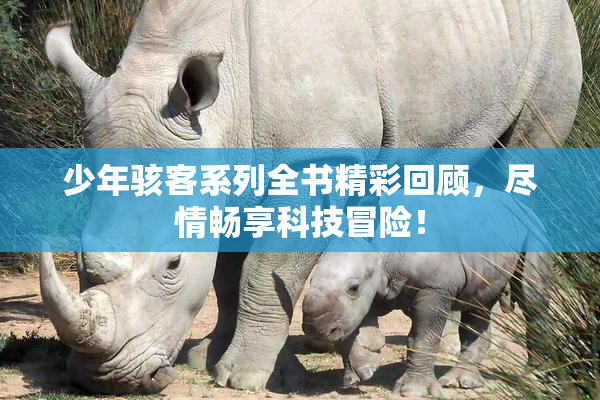 少年骇客系列全书精彩回顾，尽情畅享科技冒险！