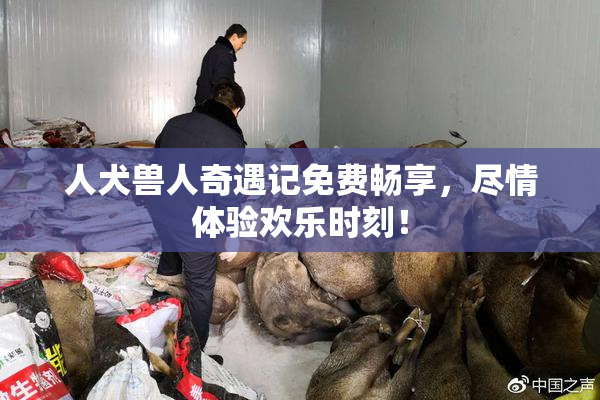 人犬兽人奇遇记免费畅享，尽情体验欢乐时刻！