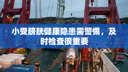 小受膀胱健康隐患需警惕，及时检查很重要