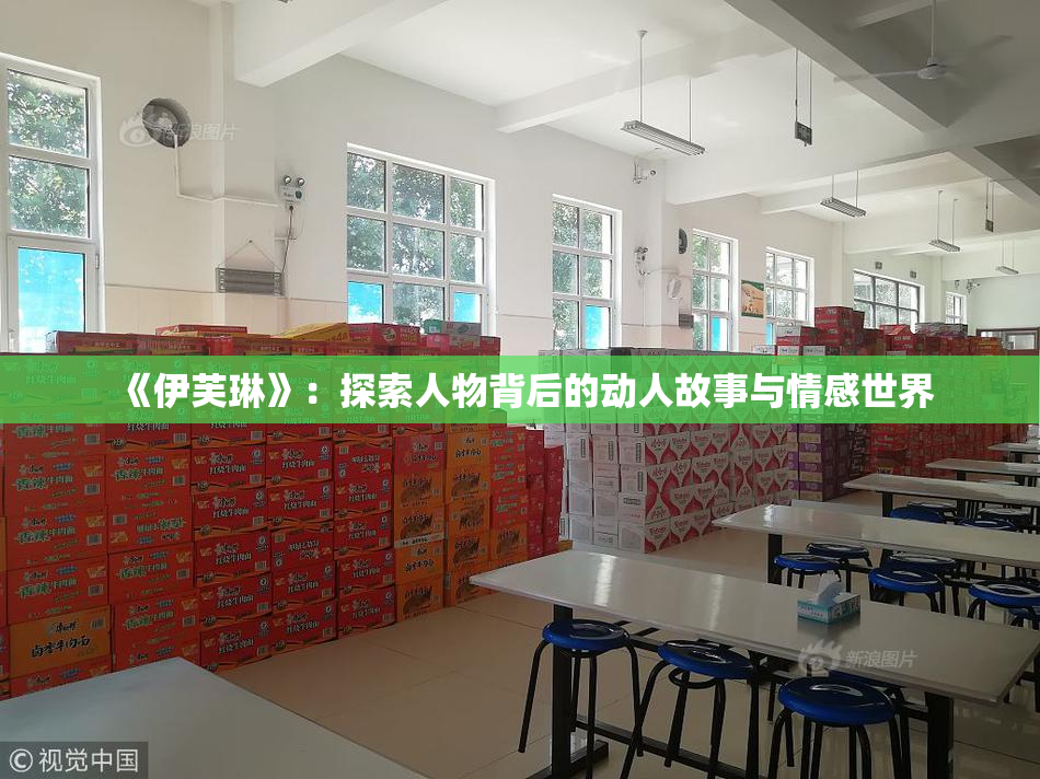 《伊芙琳》：探索人物背后的动人故事与情感世界