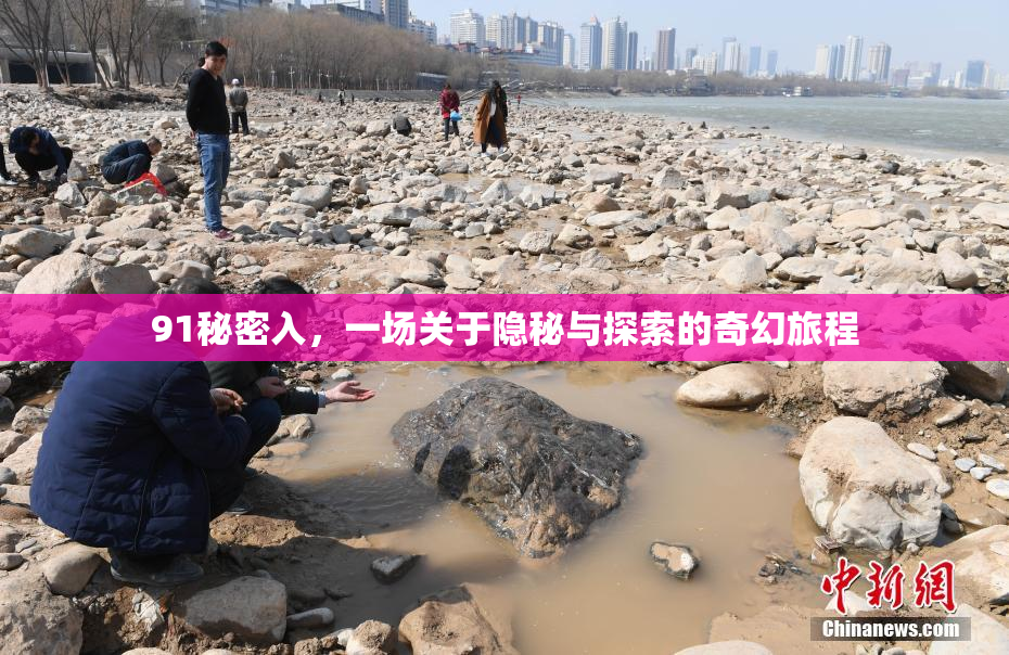 91秘密入，一场关于隐秘与探索的奇幻旅程
