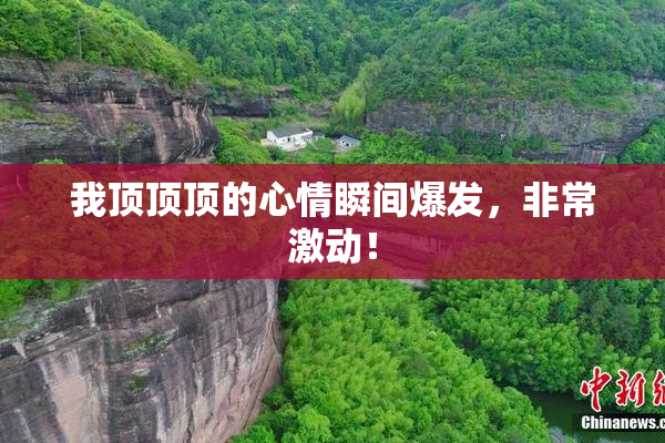 我顶顶顶的心情瞬间爆发，非常激动！