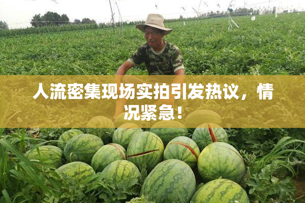 人流密集现场实拍引发热议，情况紧急！