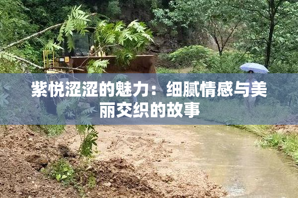 紫悦涩涩的魅力：细腻情感与美丽交织的故事
