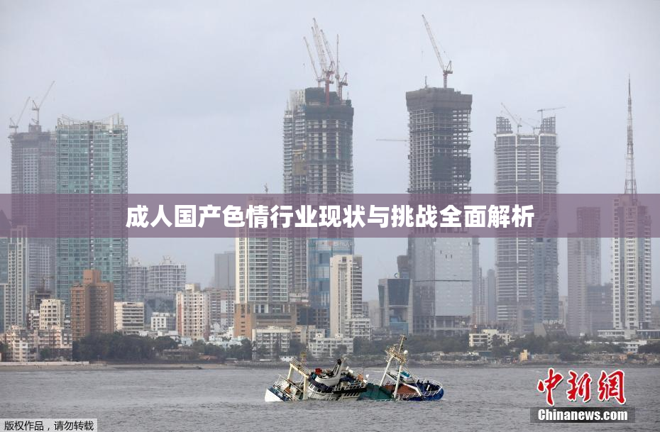 成人国产色情行业现状与挑战全面解析