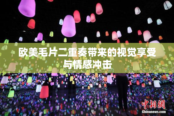 欧美毛片二重奏带来的视觉享受与情感冲击