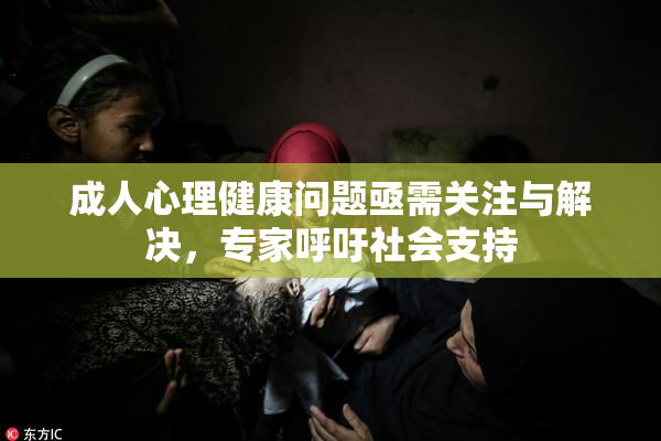 成人心理健康问题亟需关注与解决，专家呼吁社会支持