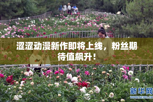 涩涩动漫新作即将上线，粉丝期待值飙升！