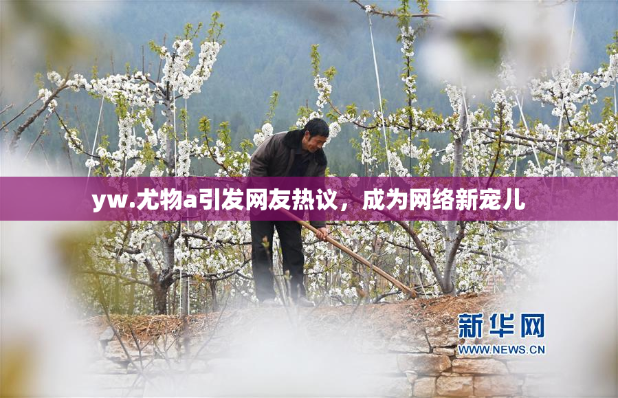 yw.尤物a引发网友热议，成为网络新宠儿
