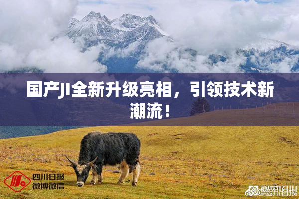 国产JI全新升级亮相，引领技术新潮流！