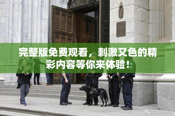 完整版免费观看，刺激又色的精彩内容等你来体验！