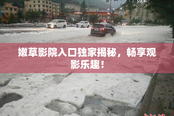 嫩草影院入口独家揭秘，畅享观影乐趣！