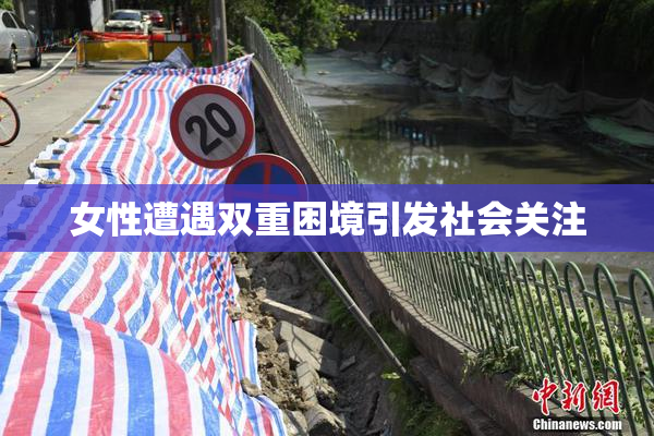 女性遭遇双重困境引发社会关注