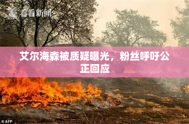 艾尔海森被质疑曝光，粉丝呼吁公正回应