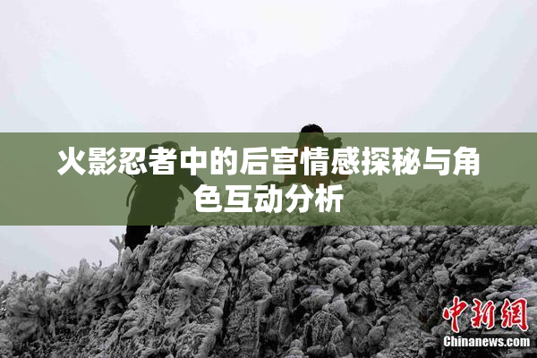 火影忍者中的后宫情感探秘与角色互动分析