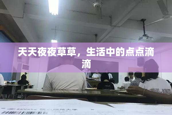 天天夜夜草草，生活中的点点滴滴