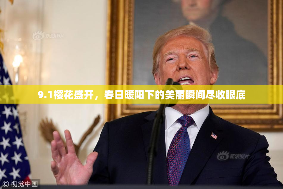 9.1樱花盛开，春日暖阳下的美丽瞬间尽收眼底