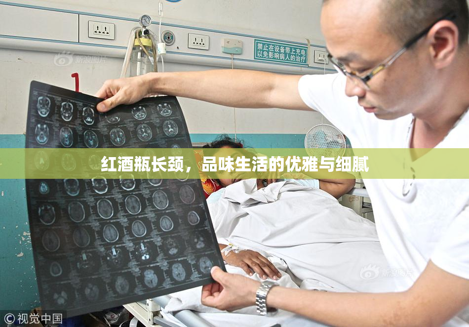 红酒瓶长颈，品味生活的优雅与细腻