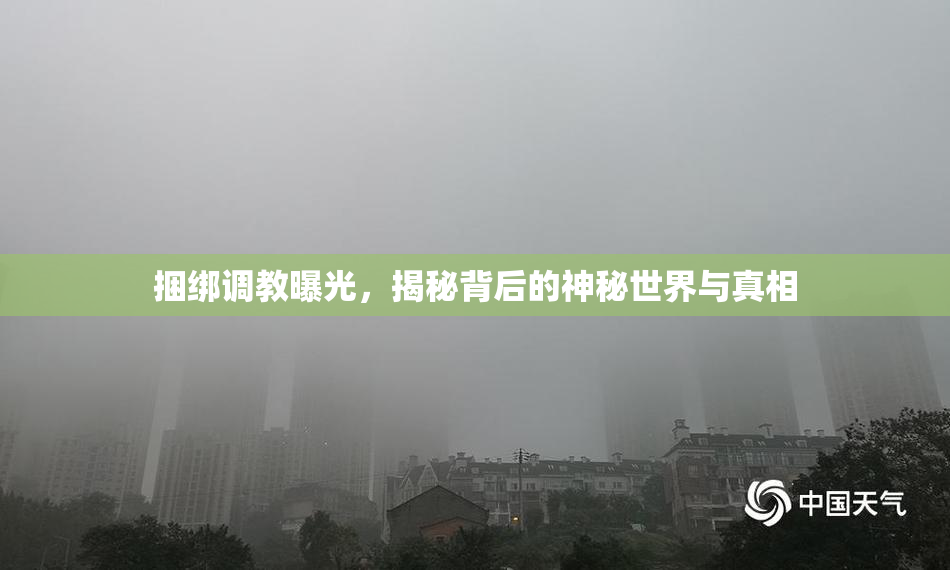 捆绑调教曝光，揭秘背后的神秘世界与真相
