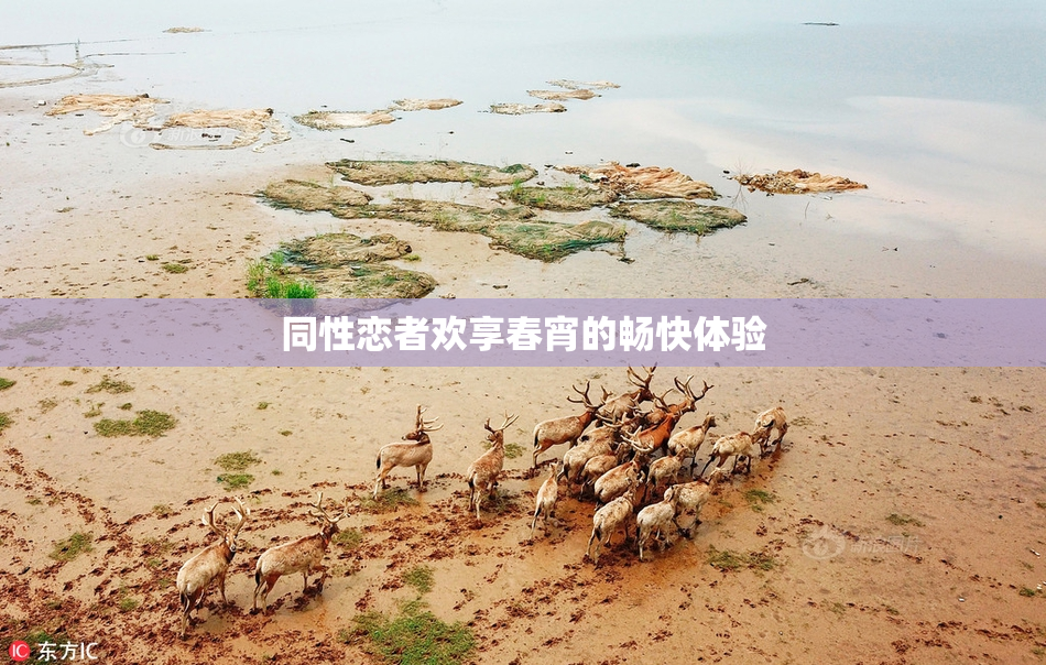 同性恋者欢享春宵的畅快体验