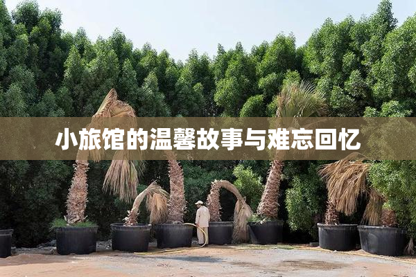小旅馆的温馨故事与难忘回忆