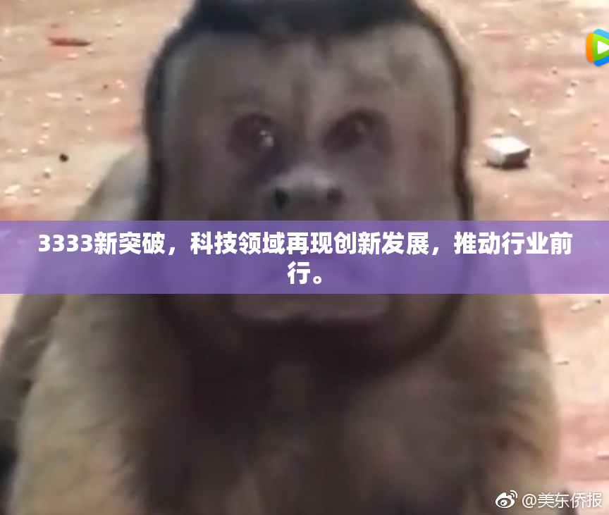 3333新突破，科技领域再现创新发展，推动行业前行。