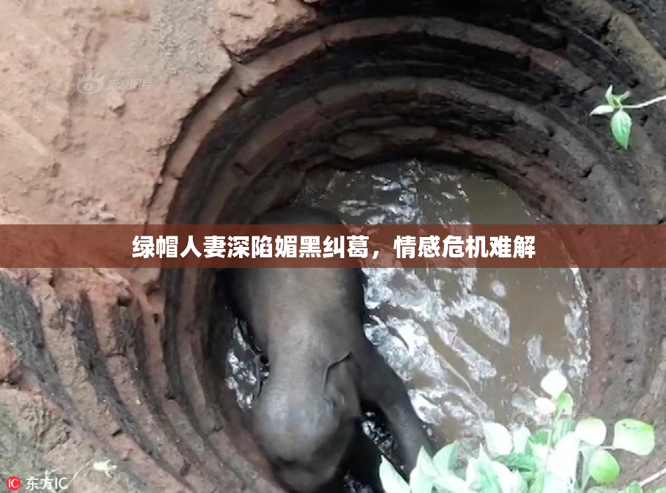 绿帽人妻深陷媚黑纠葛，情感危机难解