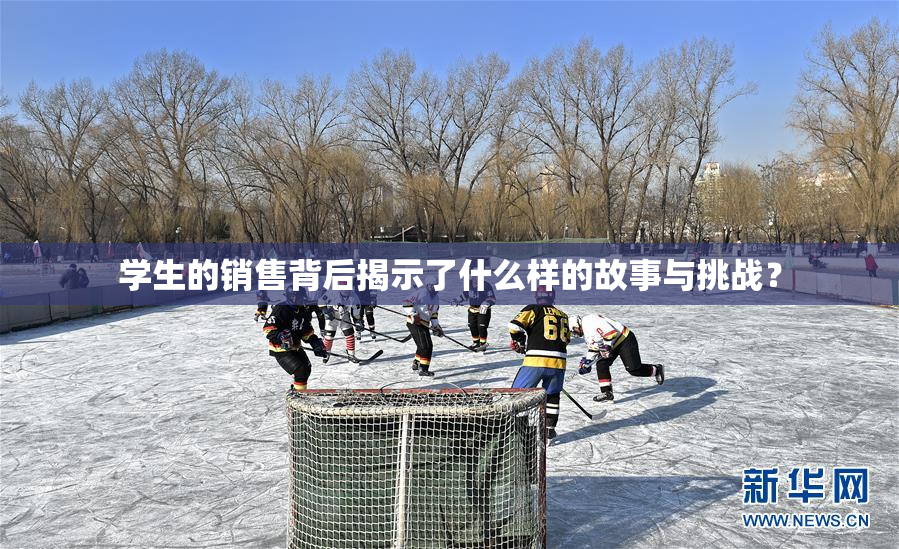 学生的销售背后揭示了什么样的故事与挑战？