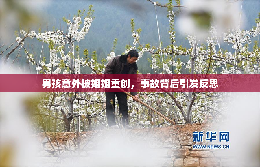 男孩意外被姐姐重创，事故背后引发反思