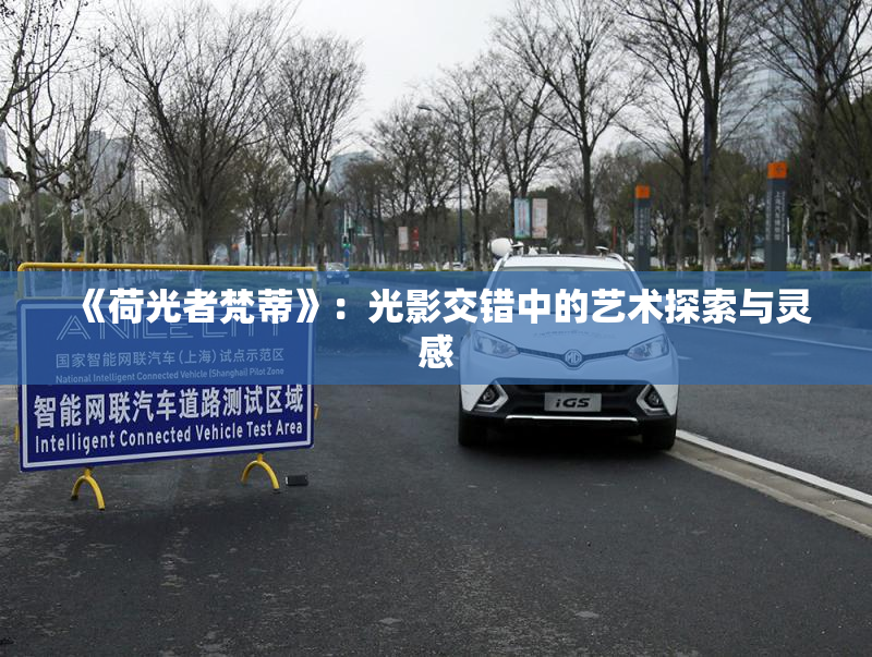 《荷光者梵蒂》：光影交错中的艺术探索与灵感