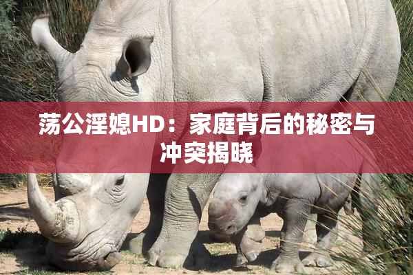 荡公淫媳HD：家庭背后的秘密与冲突揭晓