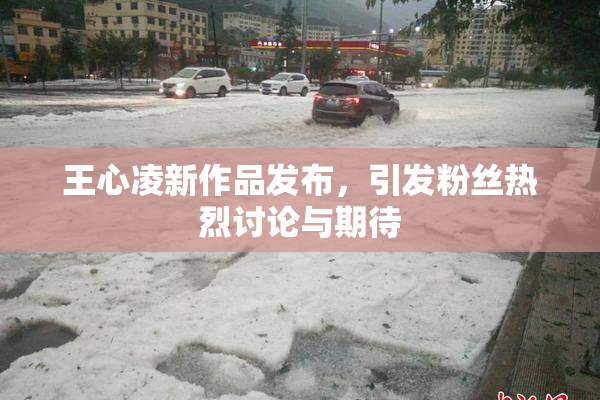 王心凌新作品发布，引发粉丝热烈讨论与期待