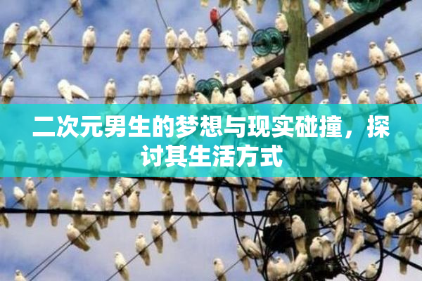 二次元男生的梦想与现实碰撞，探讨其生活方式