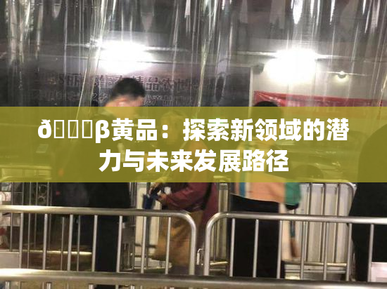 🔞β黄品：探索新领域的潜力与未来发展路径