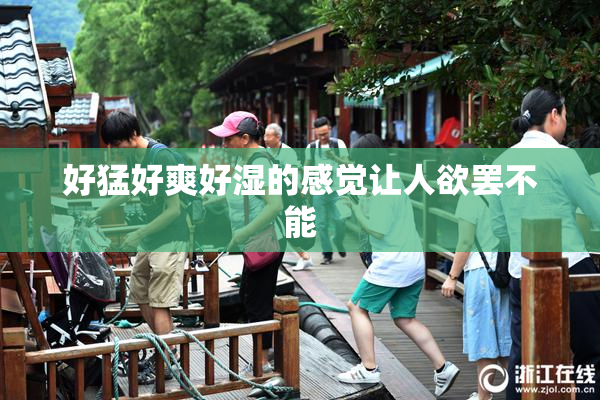 好猛好爽好湿的感觉让人欲罢不能