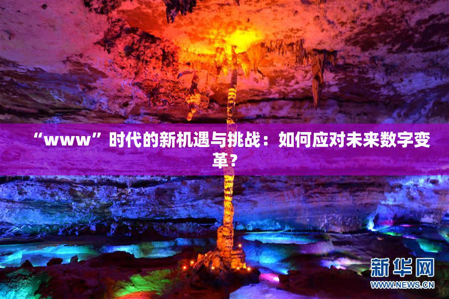 “www”时代的新机遇与挑战：如何应对未来数字变革？