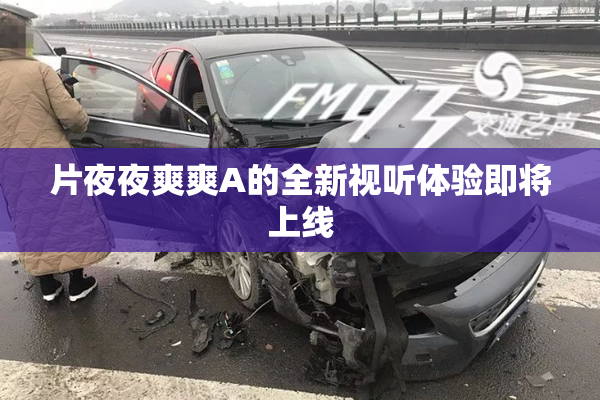 片夜夜爽爽A的全新视听体验即将上线