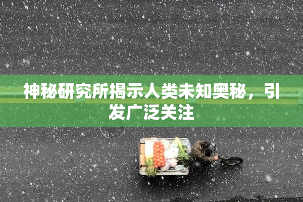 神秘研究所揭示人类未知奥秘，引发广泛关注
