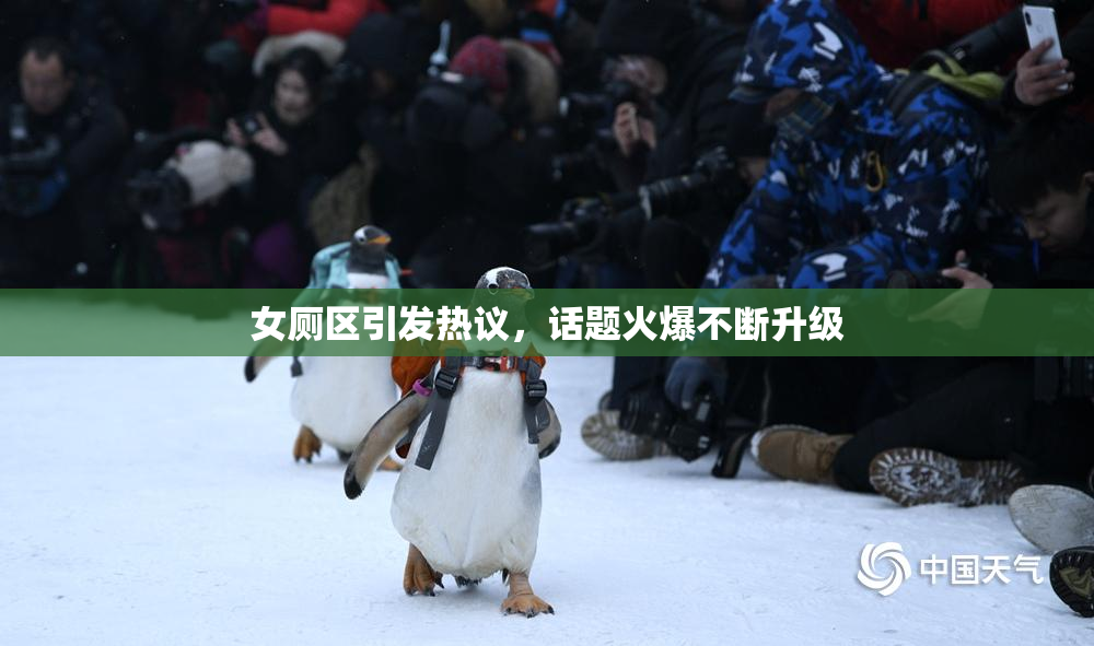 女厕区引发热议，话题火爆不断升级