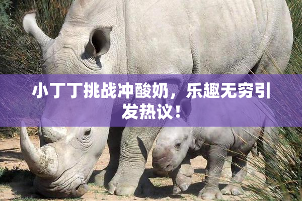 小丁丁挑战冲酸奶，乐趣无穷引发热议！