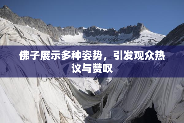 佛子展示多种姿势，引发观众热议与赞叹