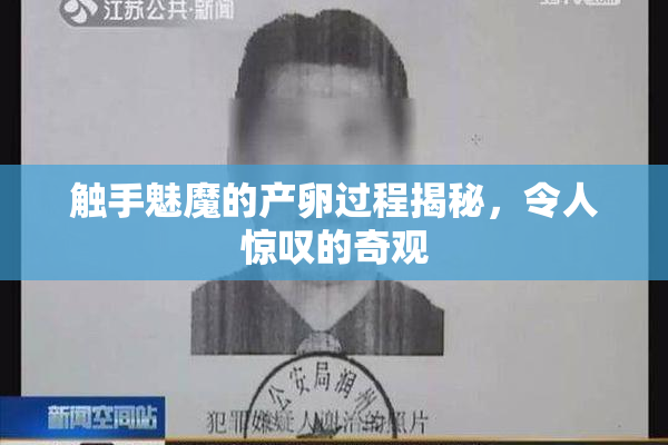 触手魅魔的产卵过程揭秘，令人惊叹的奇观