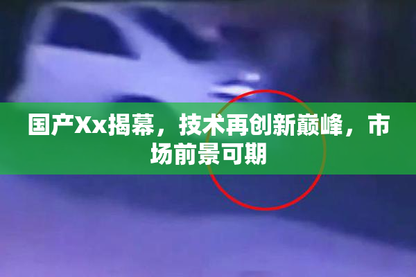 国产Xx揭幕，技术再创新巅峰，市场前景可期