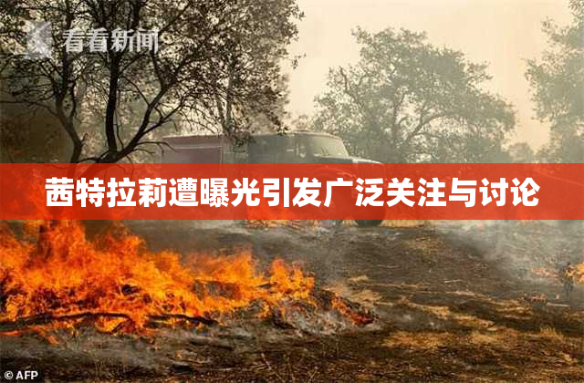 茜特拉莉遭曝光引发广泛关注与讨论