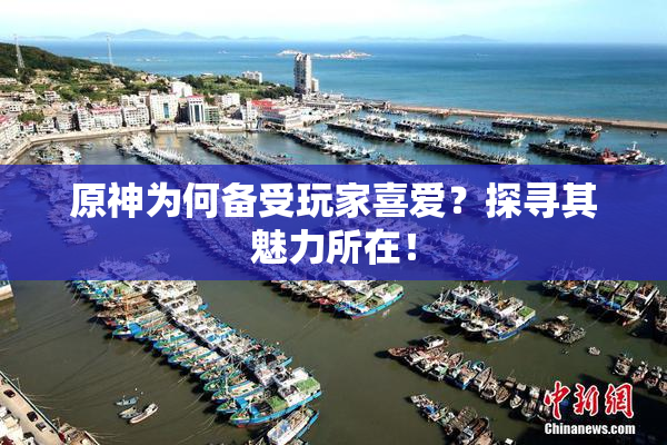 原神为何备受玩家喜爱？探寻其魅力所在！