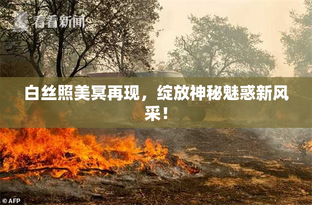白丝照美冥再现，绽放神秘魅惑新风采！